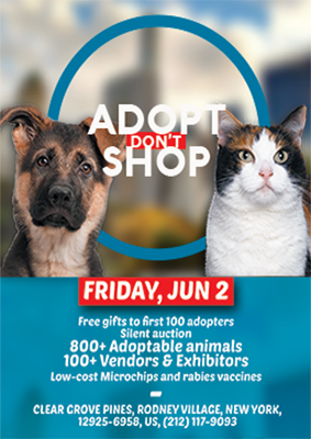 adopt-a-dog flyer