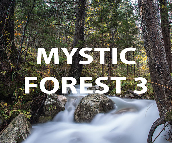 mystic forest 3